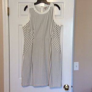Cremieux sleeveless shift dress, NWOT